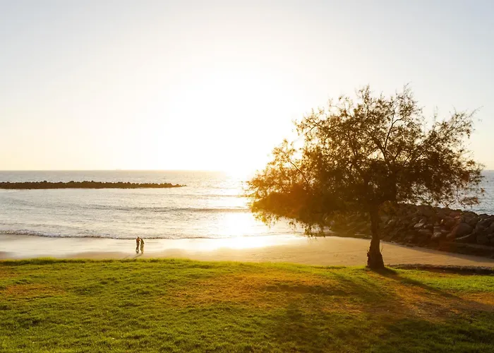 Ponderosa With A Pool & View, 226 *